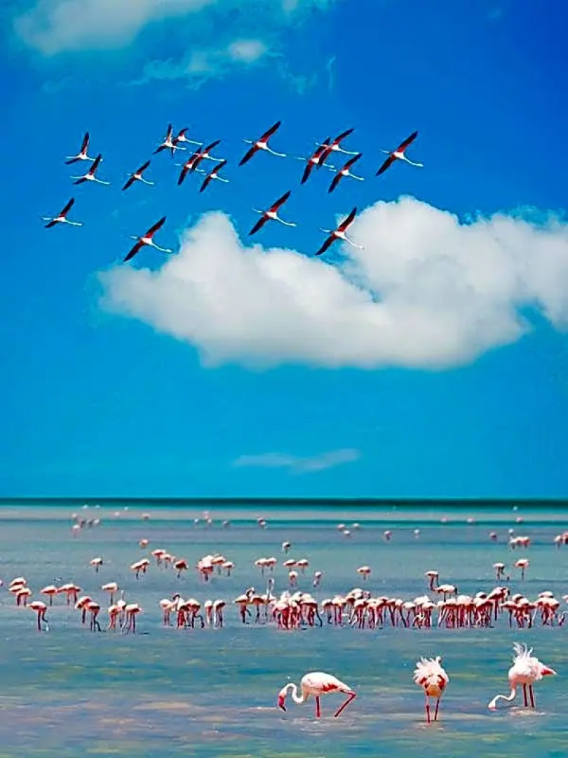 B&B IL Nido Sant'Antioco