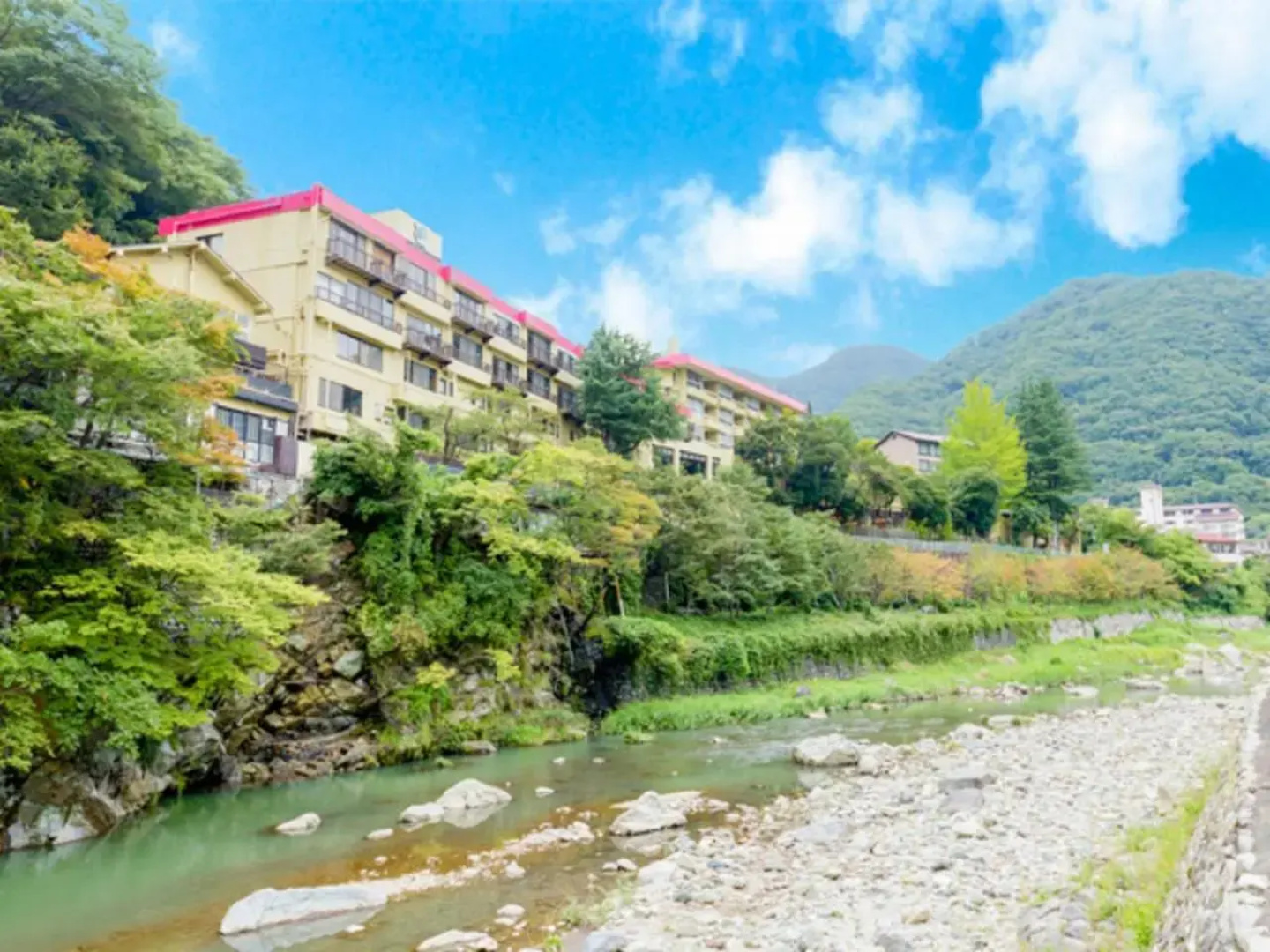LiVEMAX RESORT KAWAJI