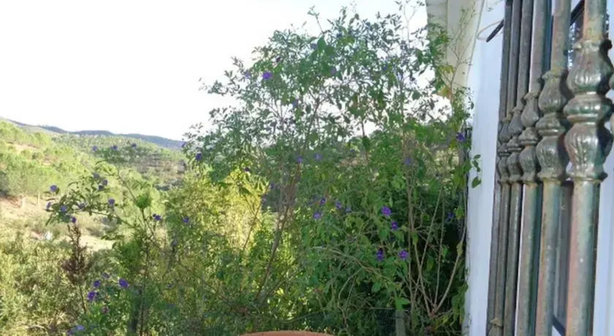 V3 Casa da Quinta Nova