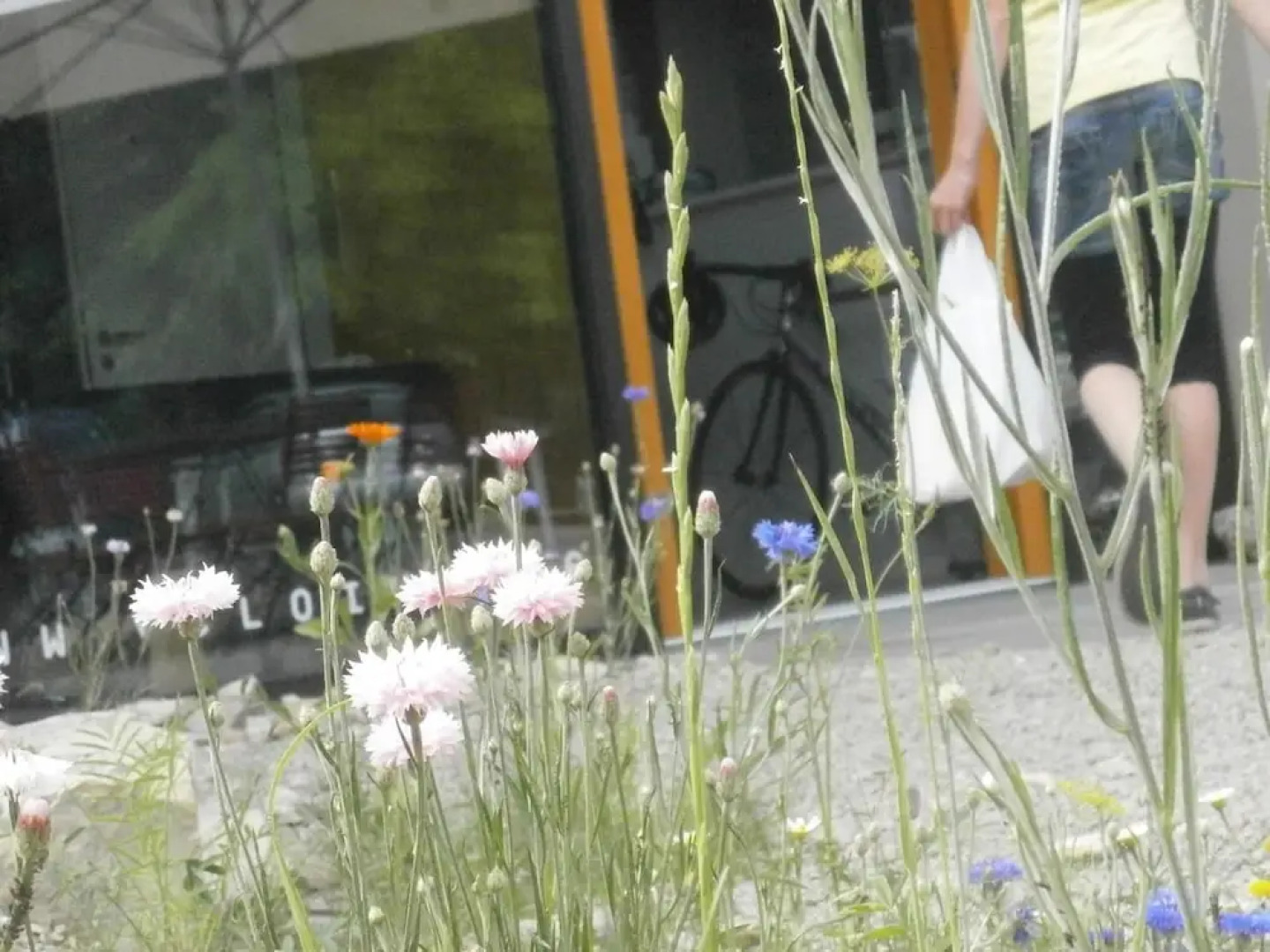 velo inn - Basislager Bad Berka