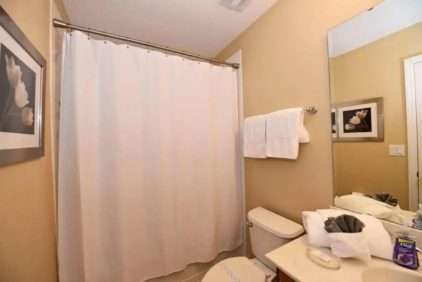 Meticulous 6Bd Spa Gm Pool Hm Solterra-4187od