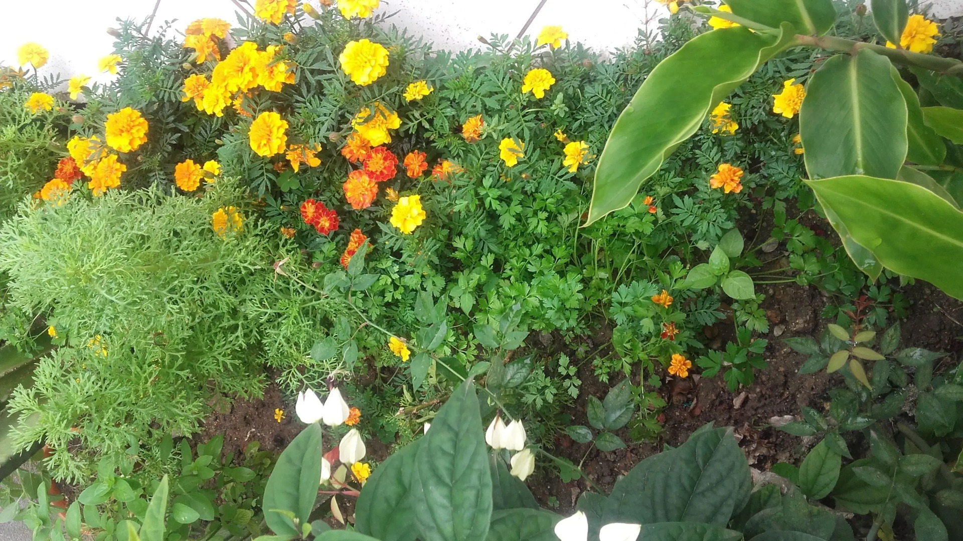 Pousada Aconchego Recanto do Mar