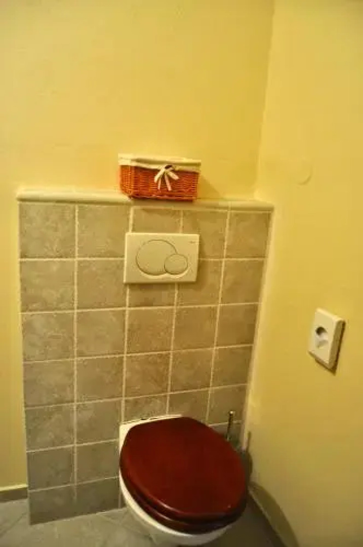 Divá Kačica Restaurant & Pansion