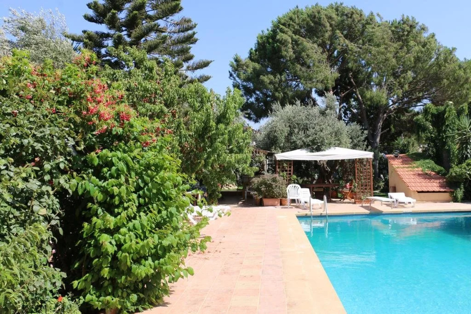 Le Château des Oliviers