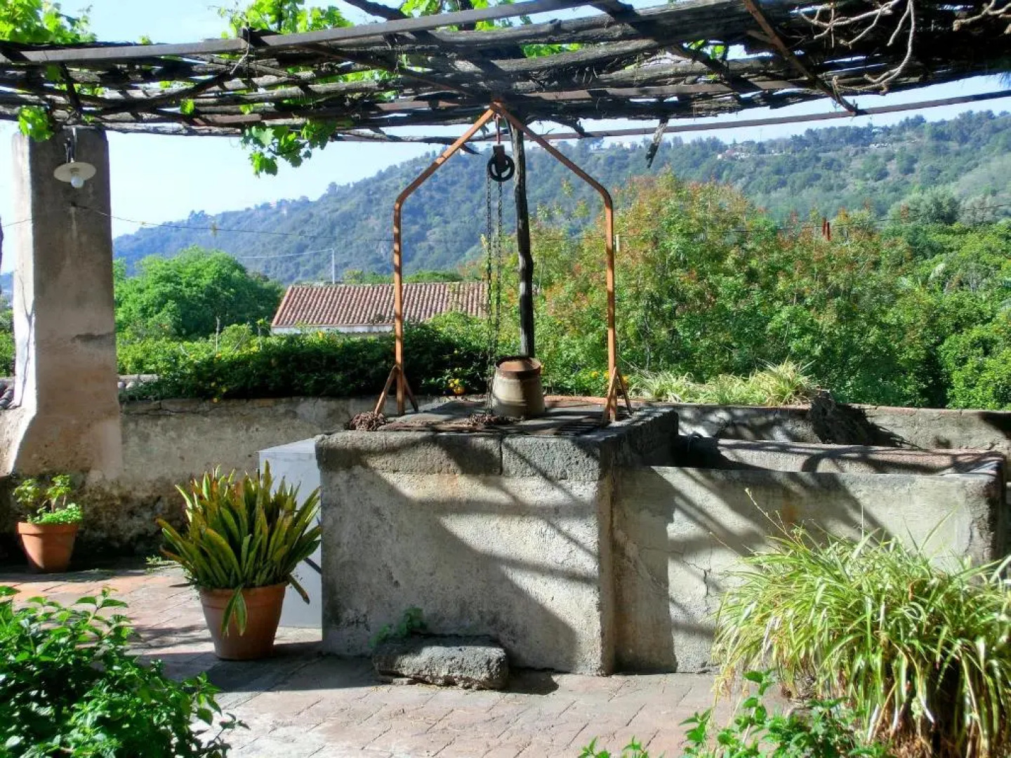 Il Limoneto - Azienda Agrituristica