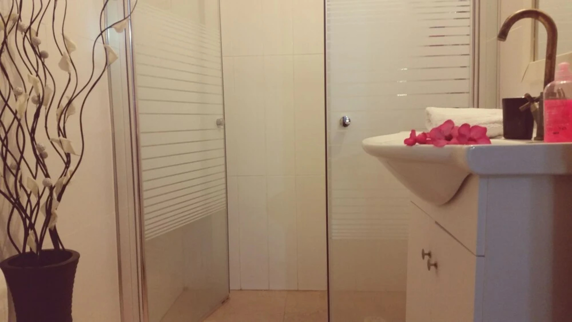 Zimmer Dora Dead Sea