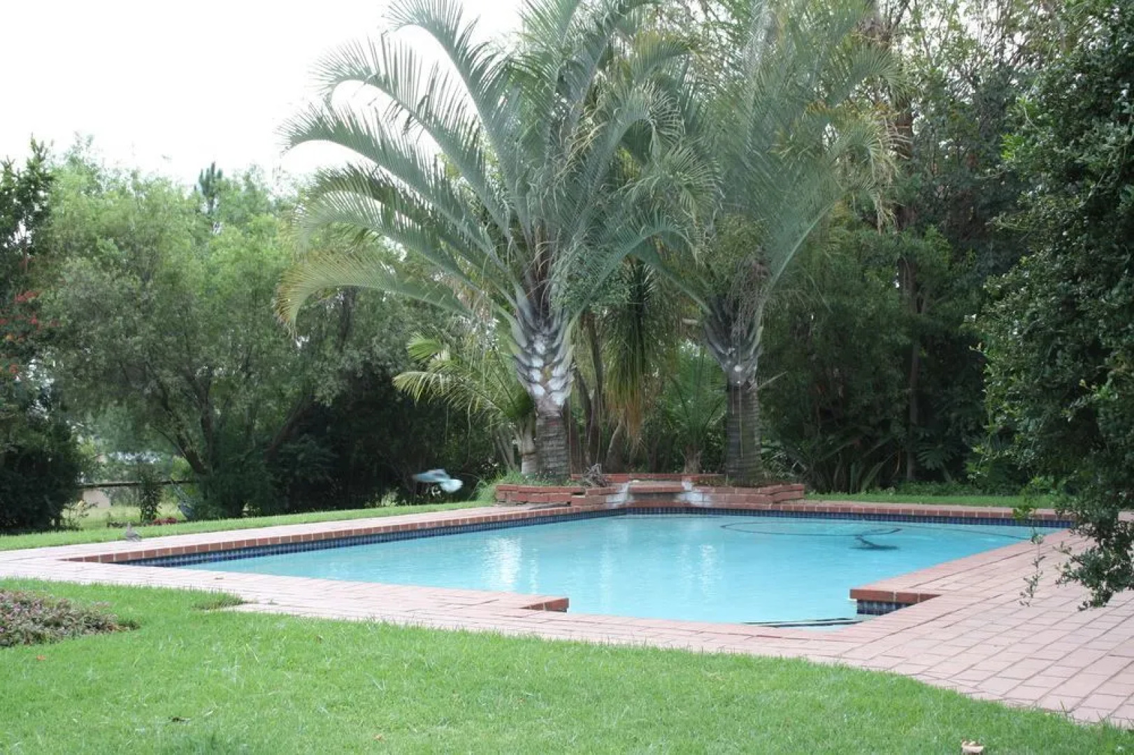 Thatch and Thorn Guest House