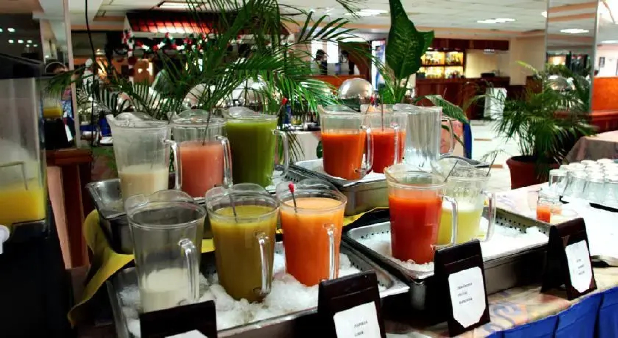 Casagrande Aeropuerto Guadalajara