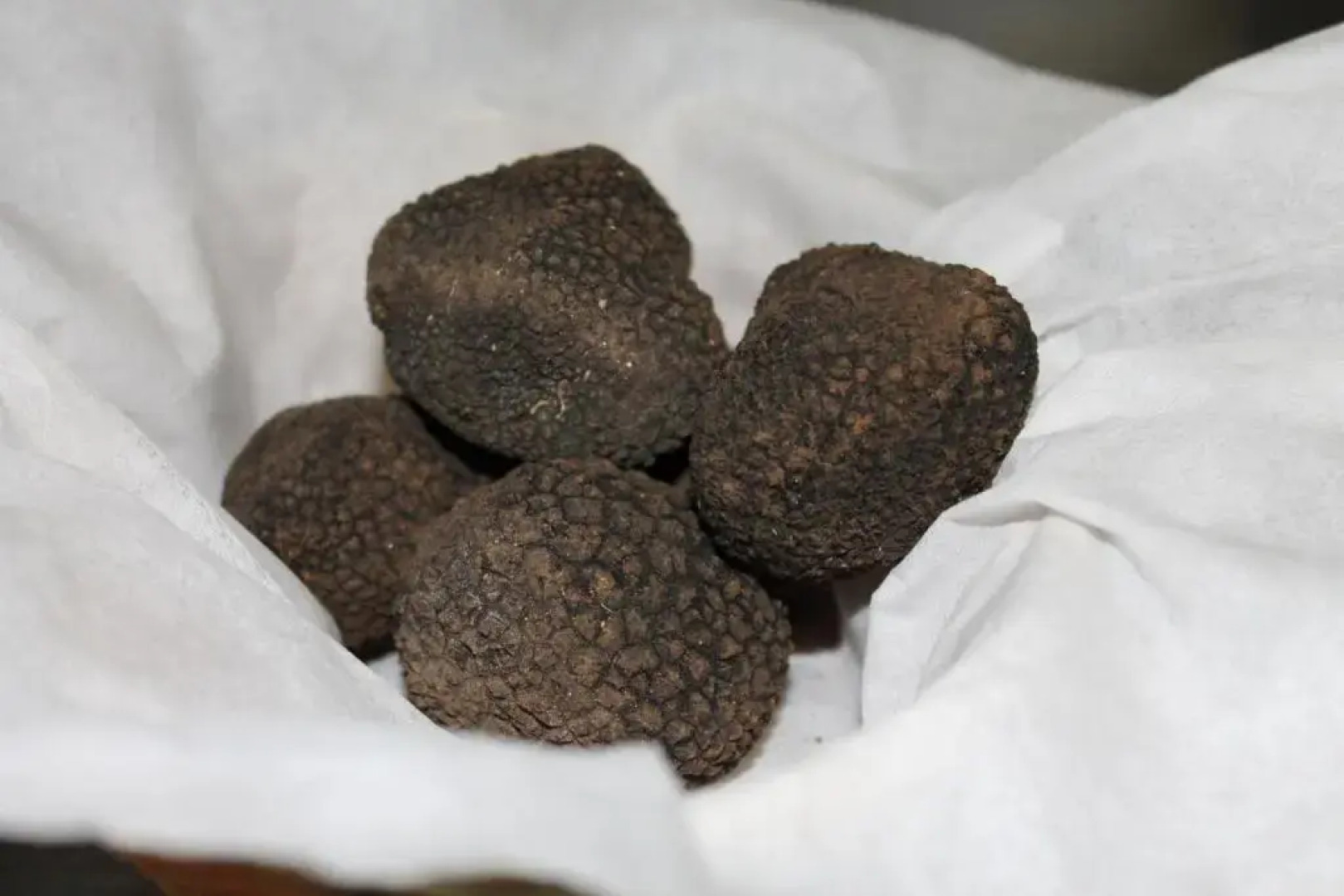 Logis Hotels  Auberge De La Tour   Hôtel Et Restaurant