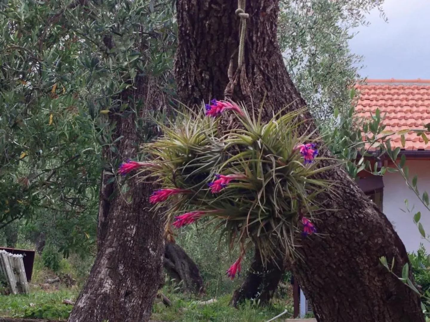 Agriturismo Ada Musso
