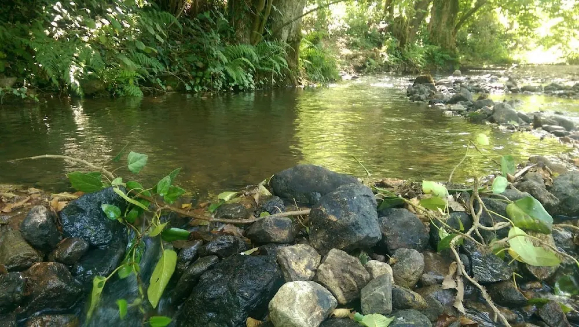 Kirkahvesi Garden - Campsite