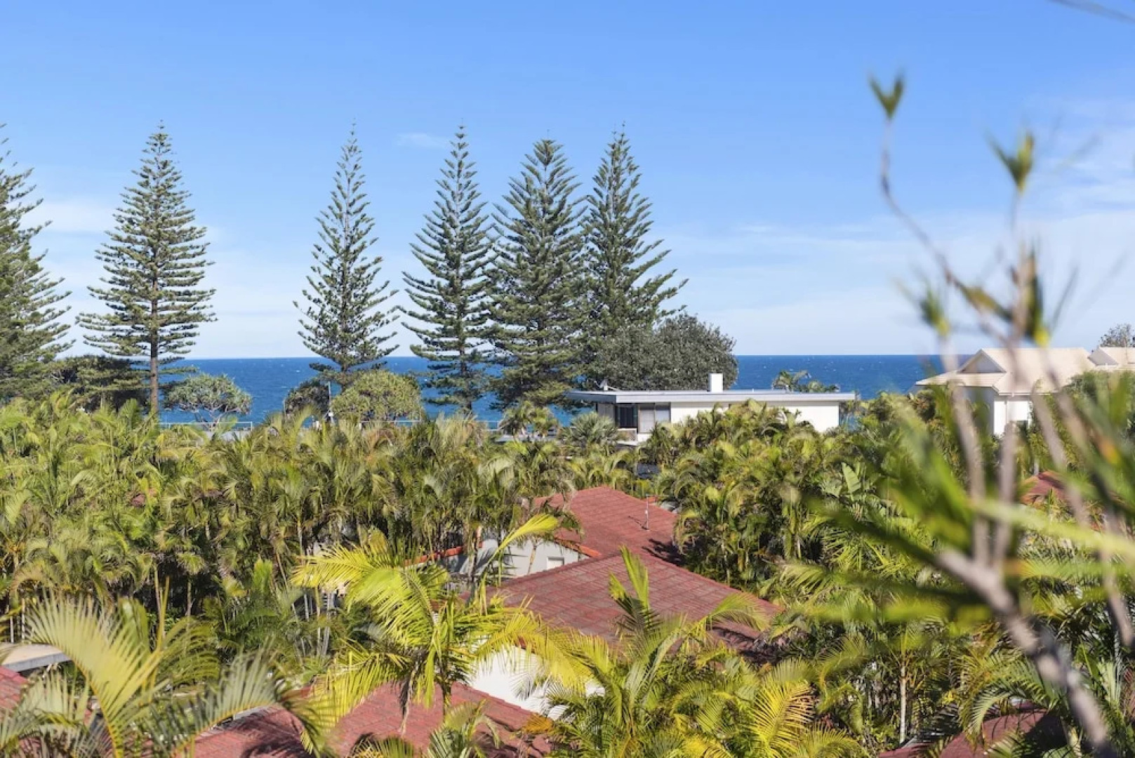 The Beachcomber - 113