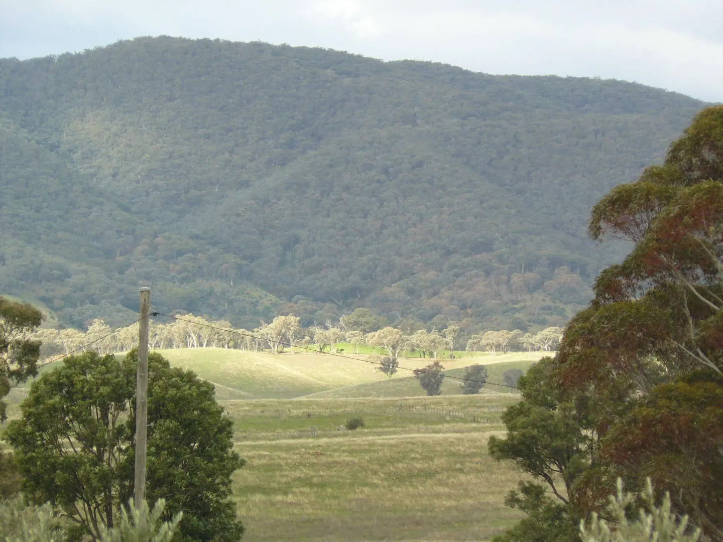 Protea Farm Cottages