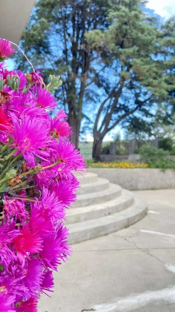 Private Douro- Quinta das Susandas