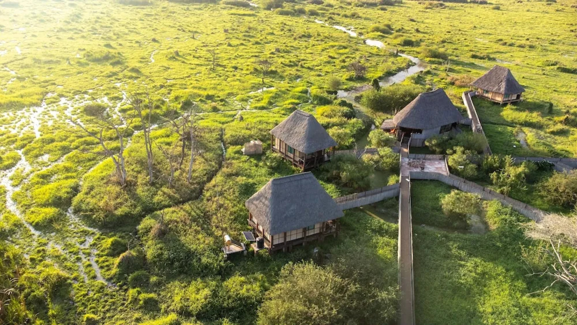 Little Okavango Camp Serengeti