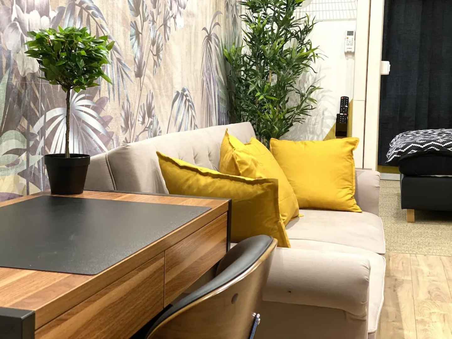 Capsule Premium Valenciennes