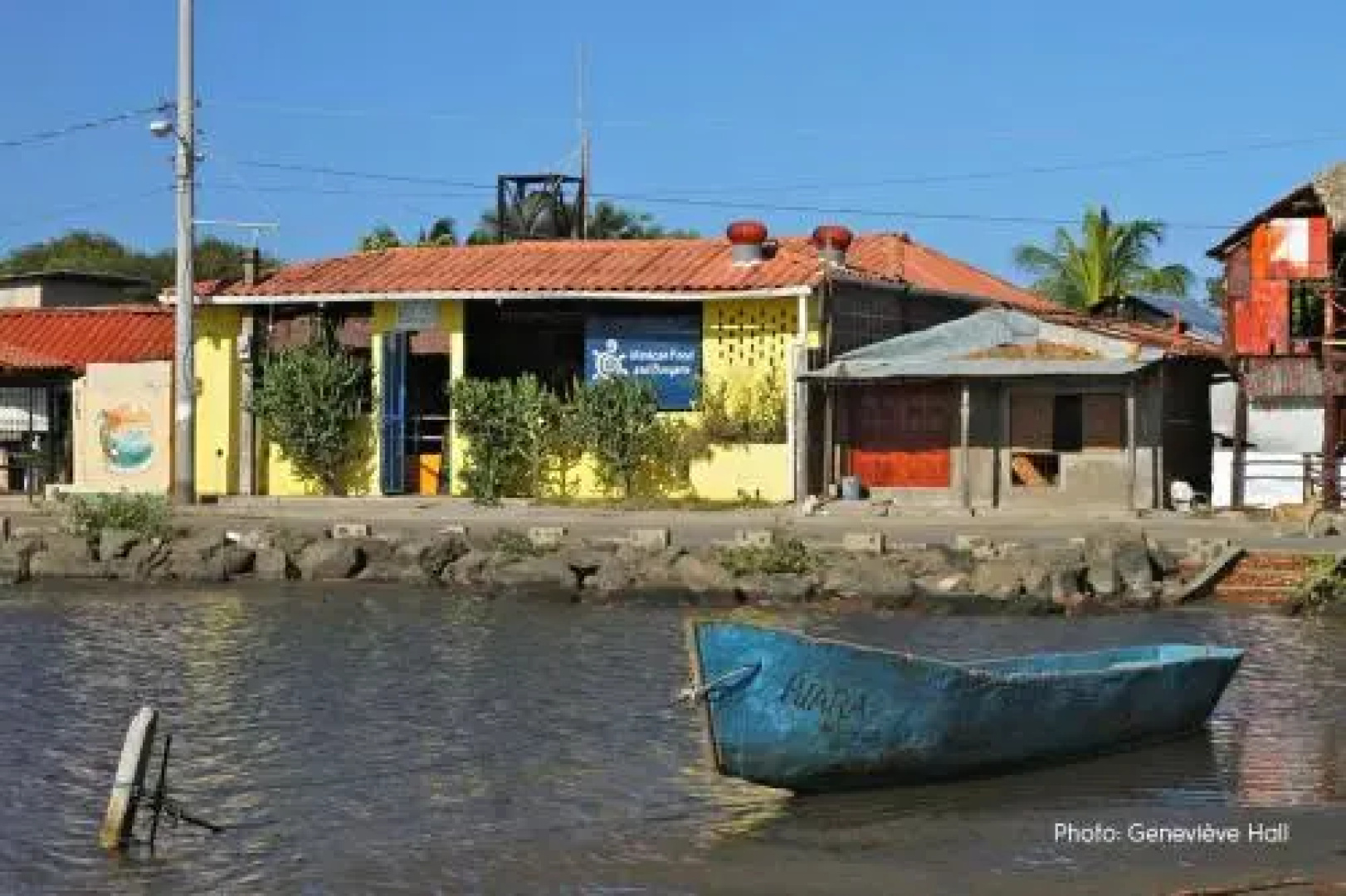 The Lazy Turtle Hotel and Restaurant
