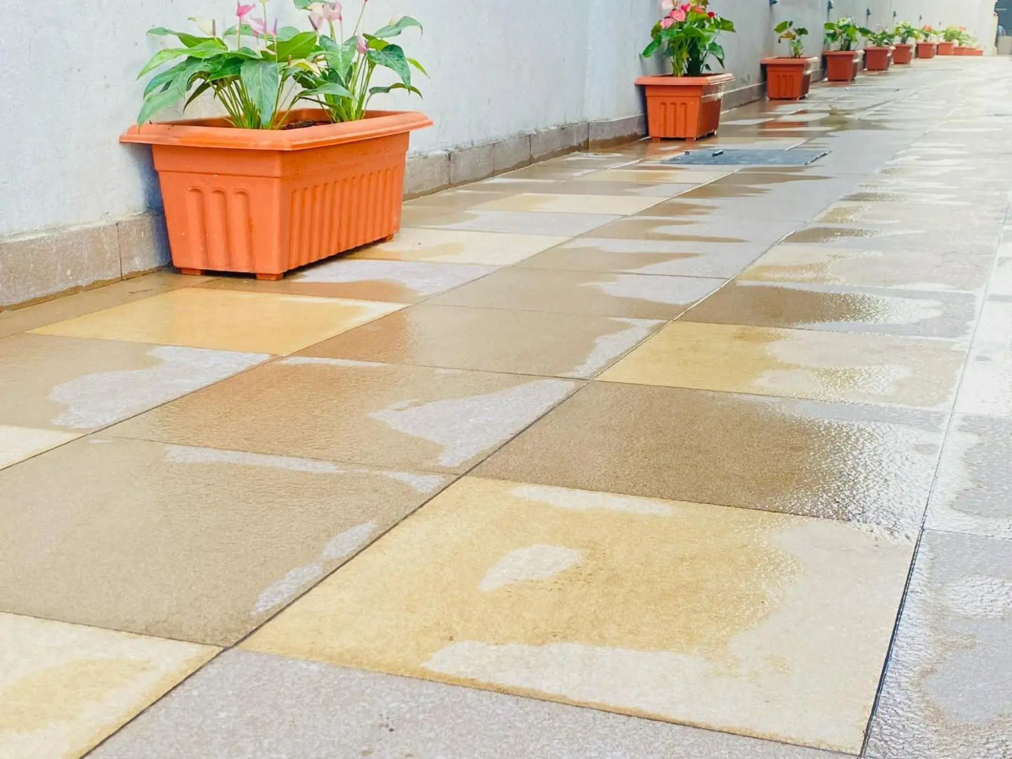 The Urban Hive Hotel