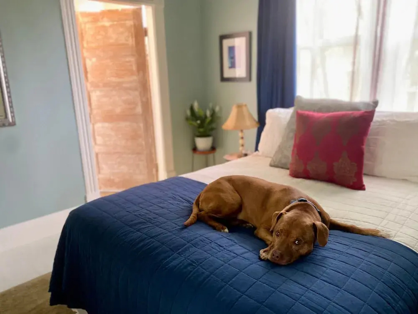 Victorian on Garden Best Location in Town