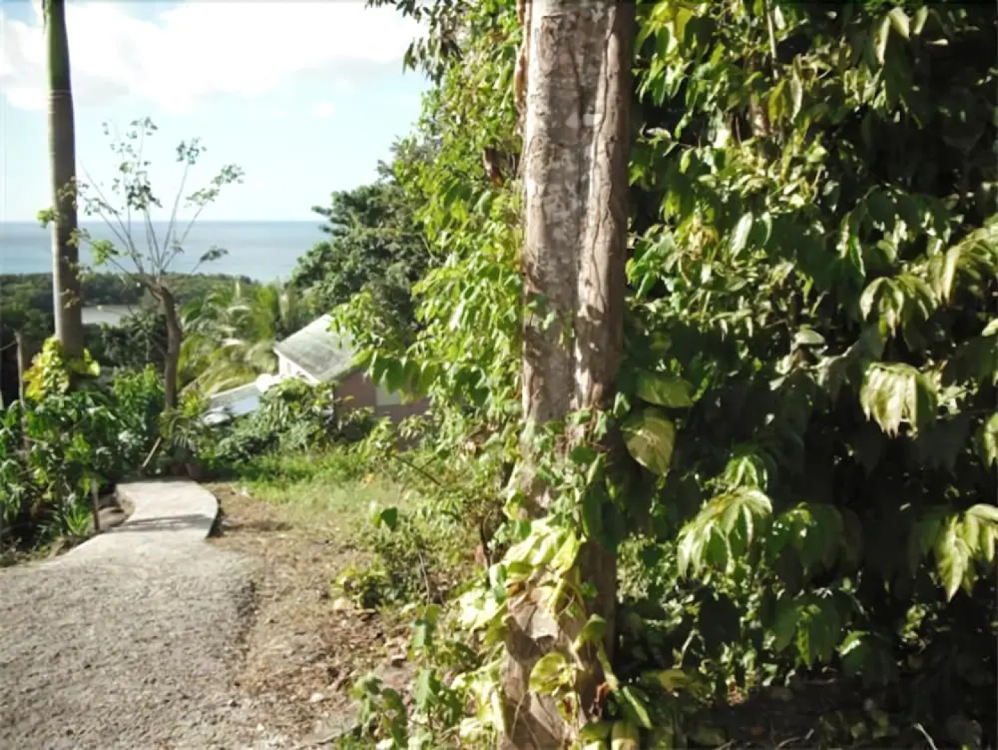 Oasis de Grande Anse