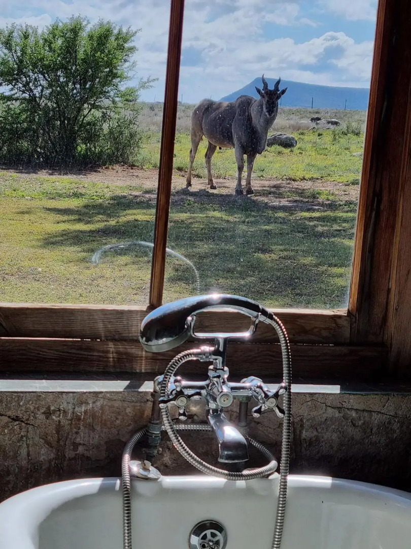 Sneeuberg Nature Reserve