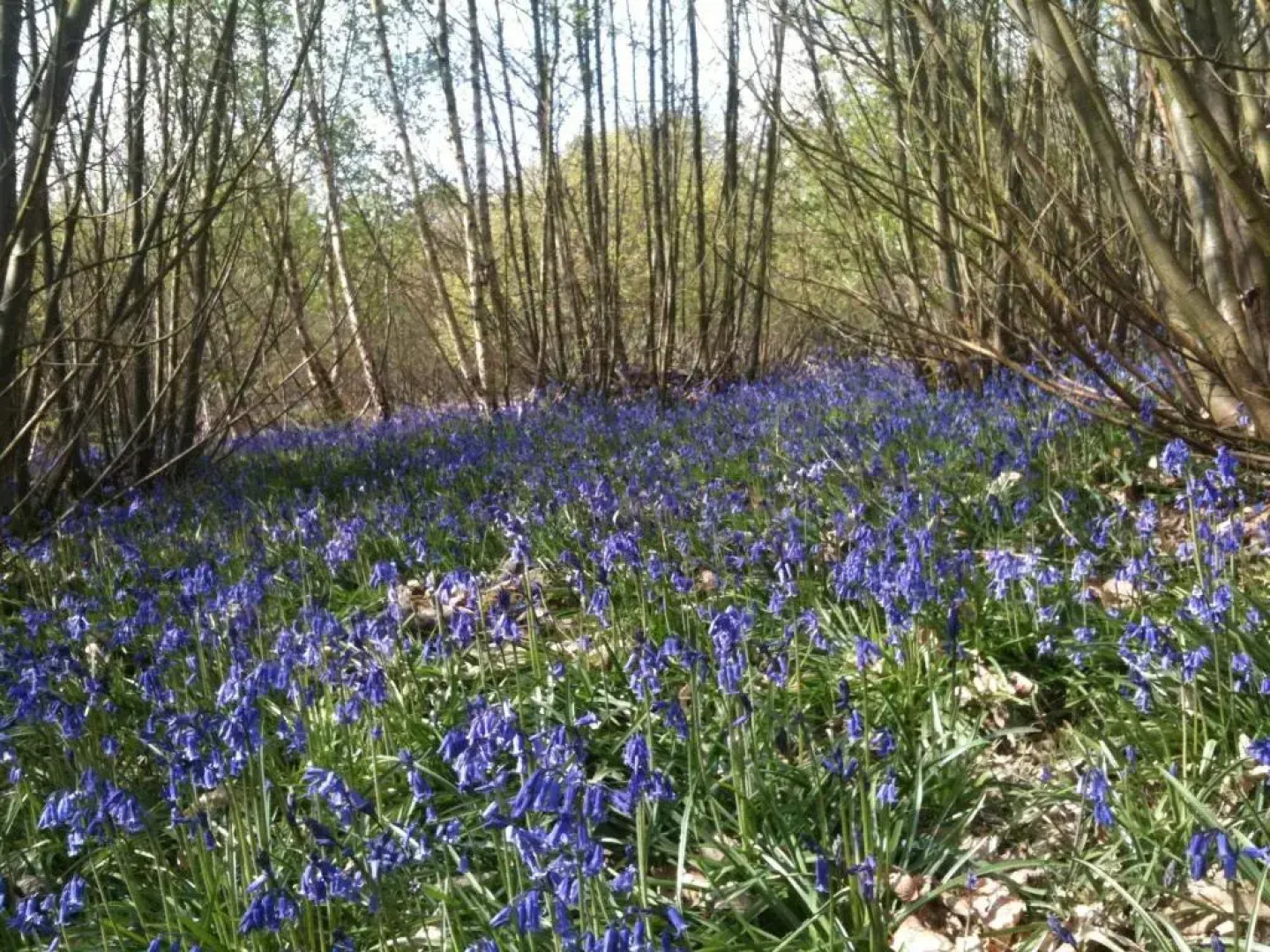 Big Sky Tipi Holidays