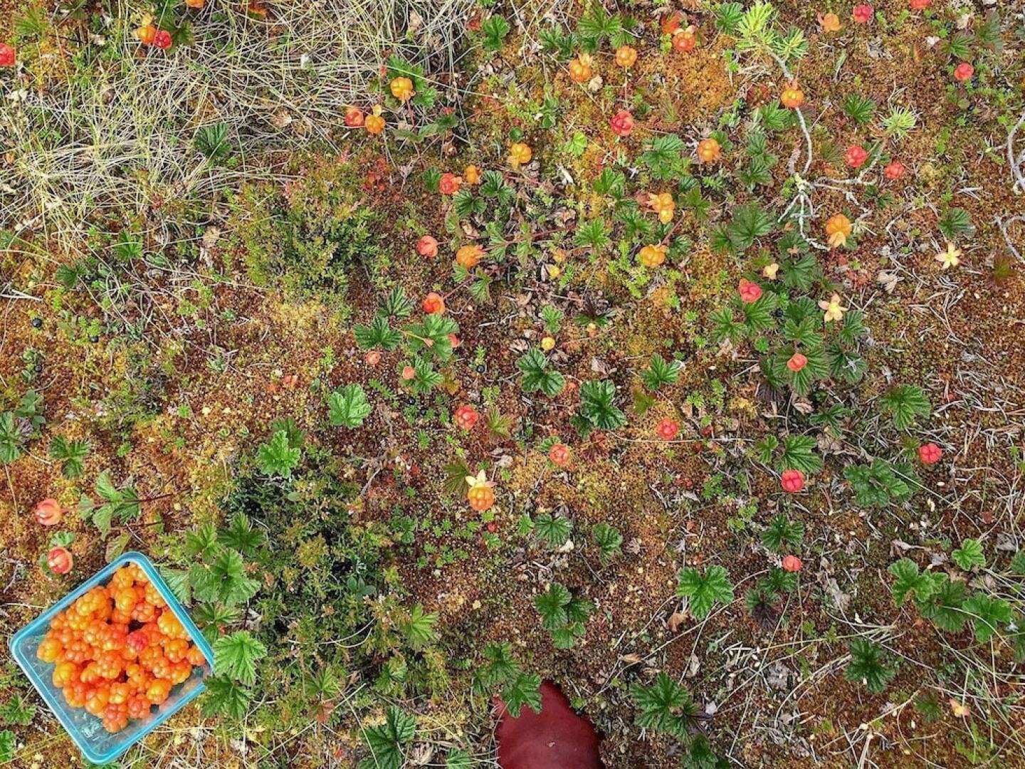 Holiday Home in Sälen