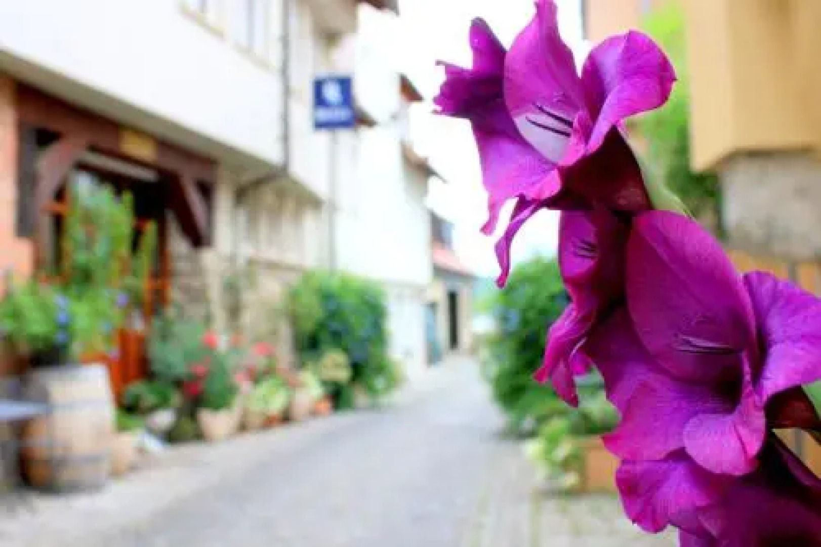 D & S Hotel Appartements