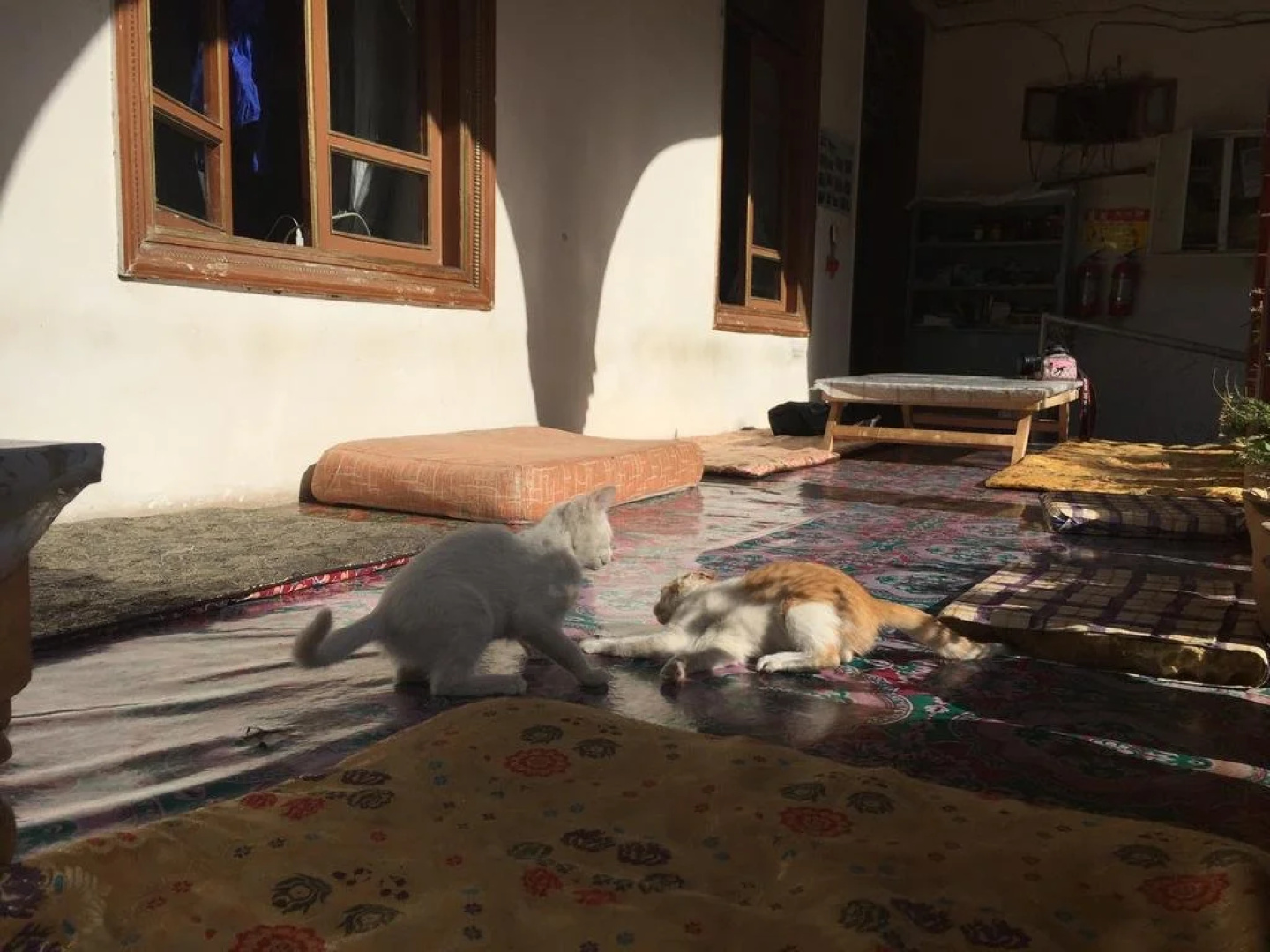 Kashgar Old Town Youth Hostel