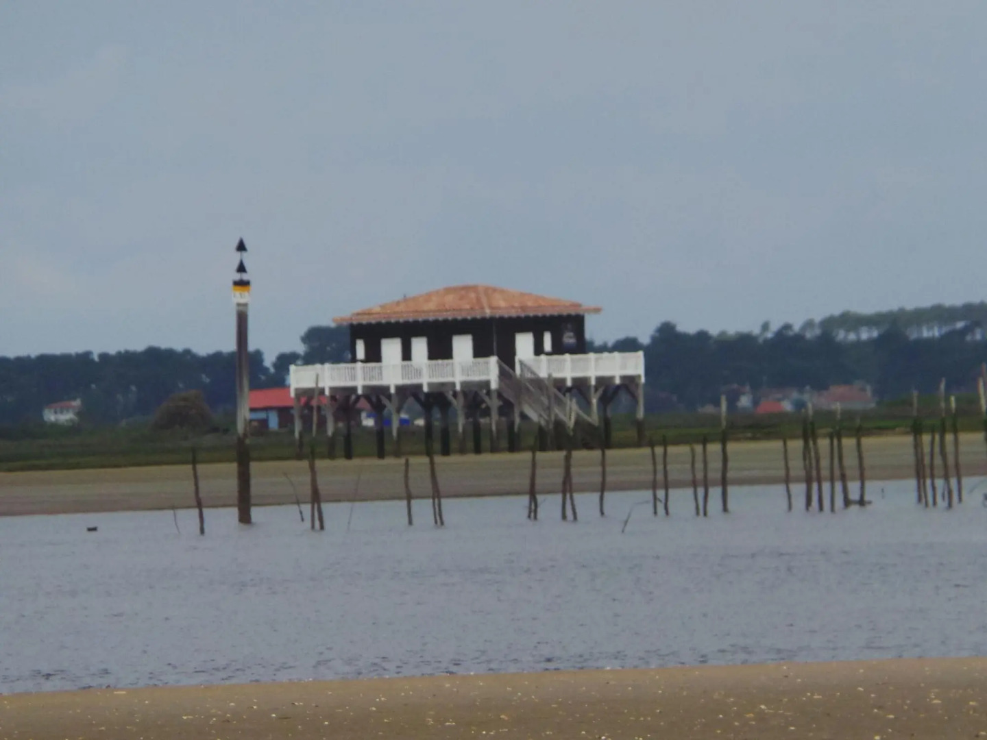 Stone House in a Vineyard, With Swimming Pool, Near Bordeaux