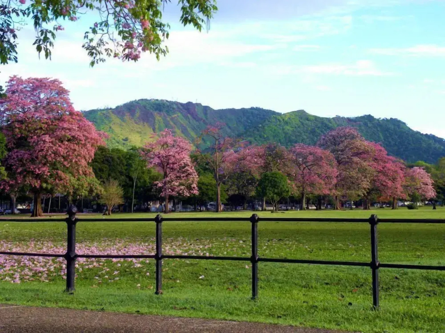 Coral Cove Marina Hotel
