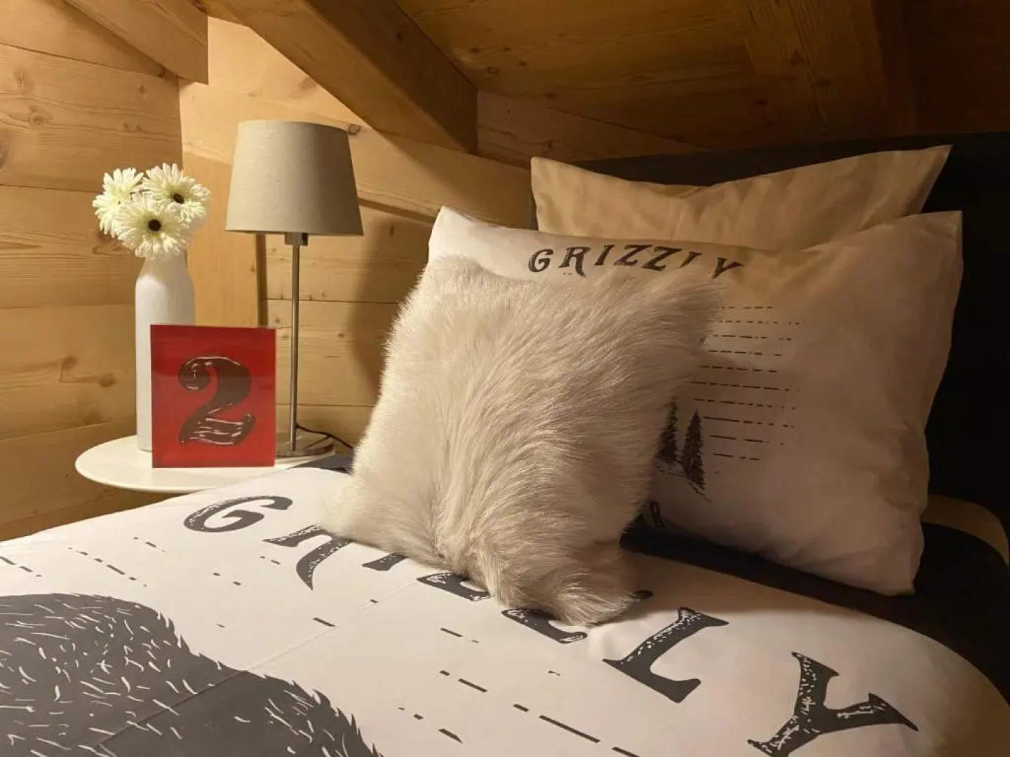 Gstaad - Luxueux Appartement Design *****