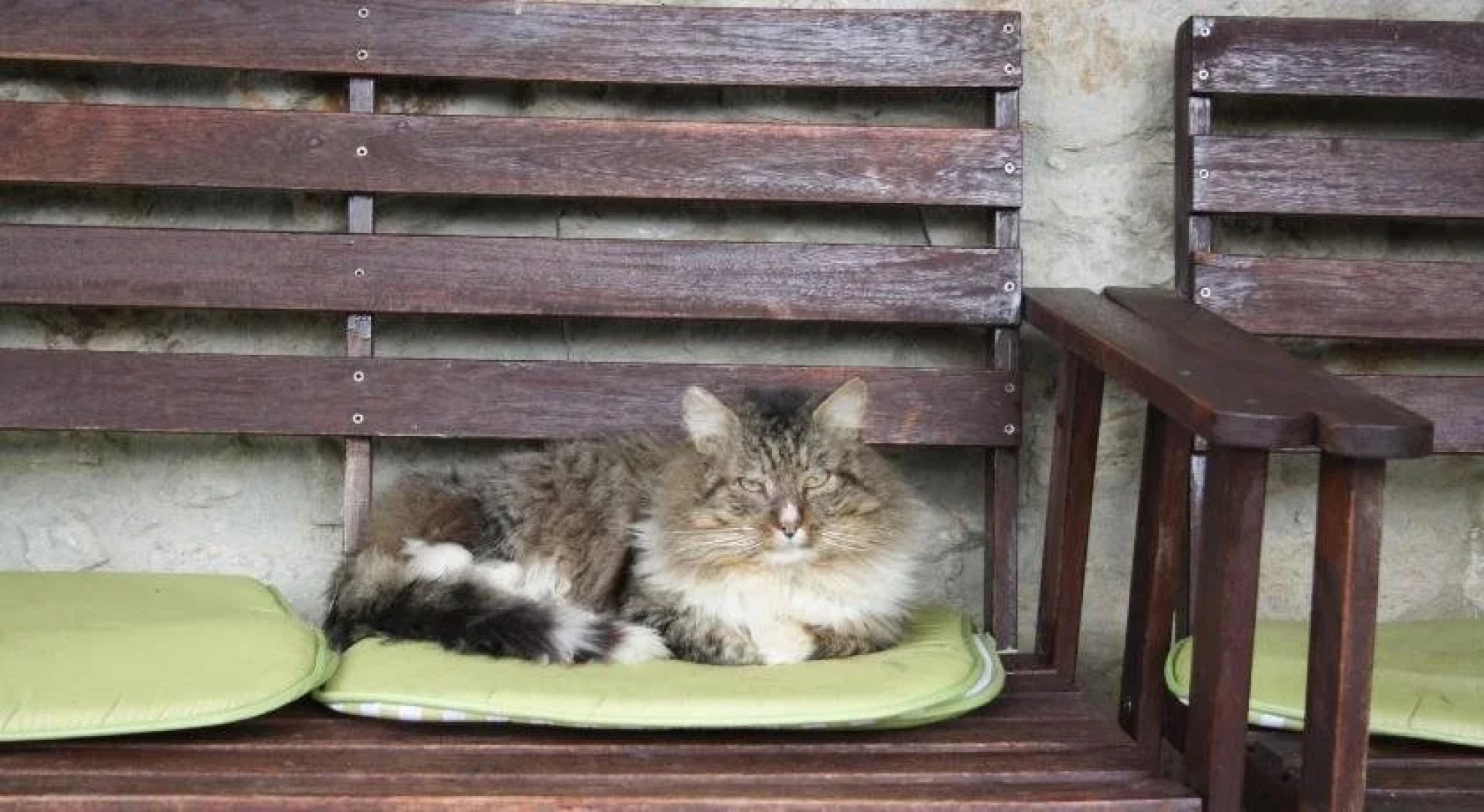 Casa Rural Arrizurieta