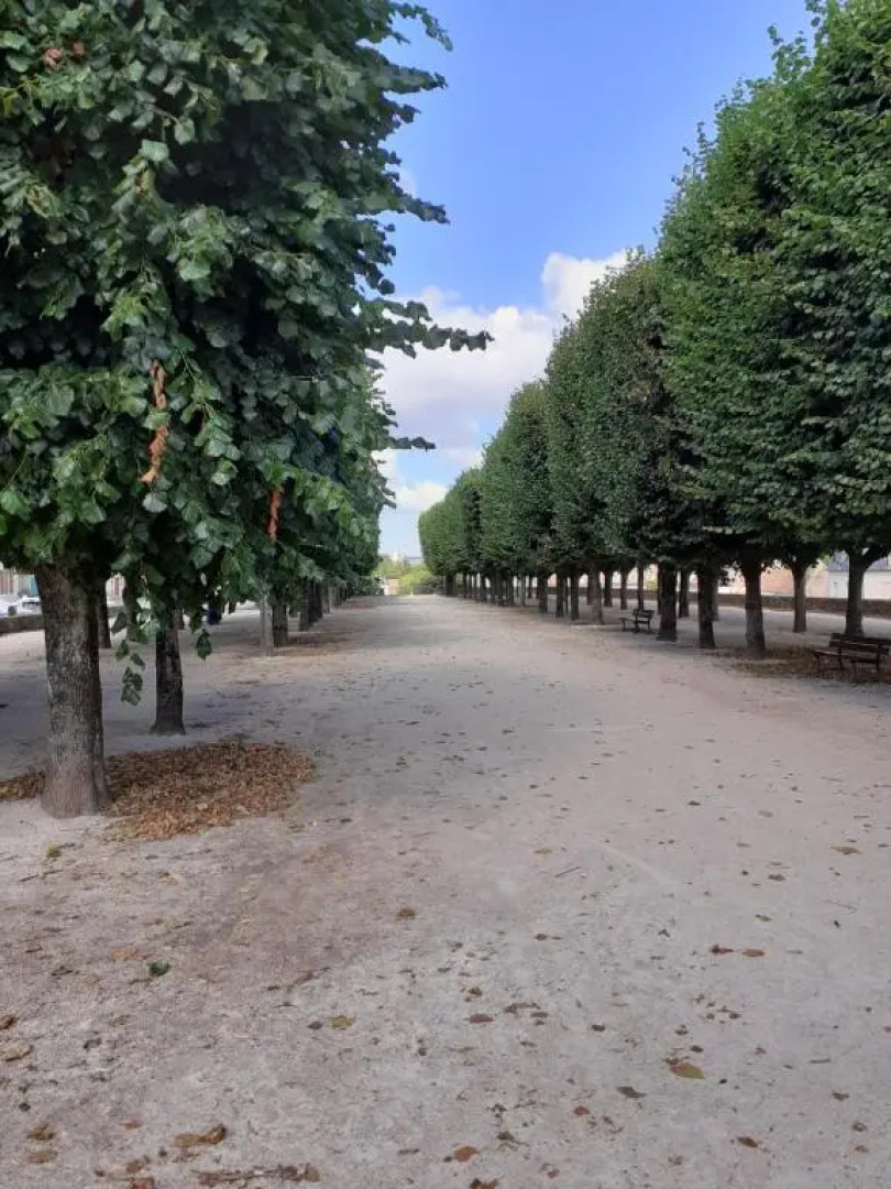 Appartement 48m2 pour 6 personnes au centre ville historique avec parking gratuit et une borne de recharge pour voiture à 10 metres