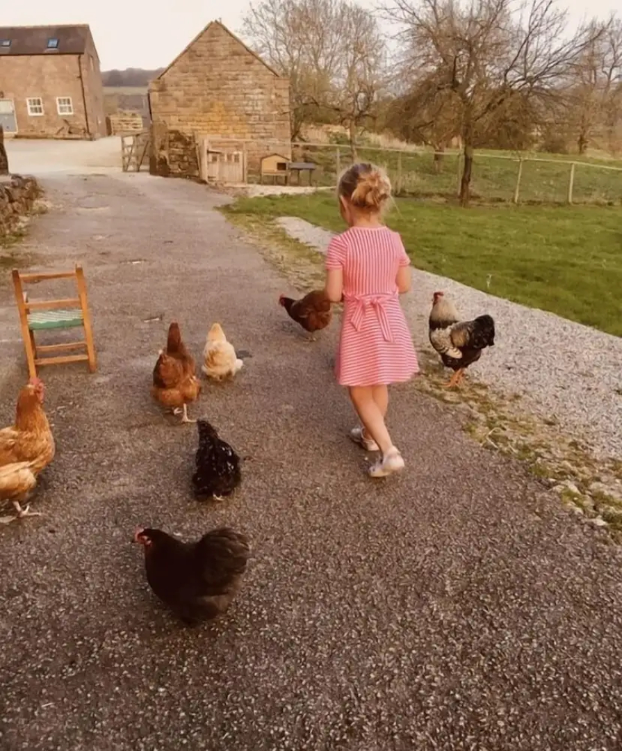 Gratton Grange Farm B&B