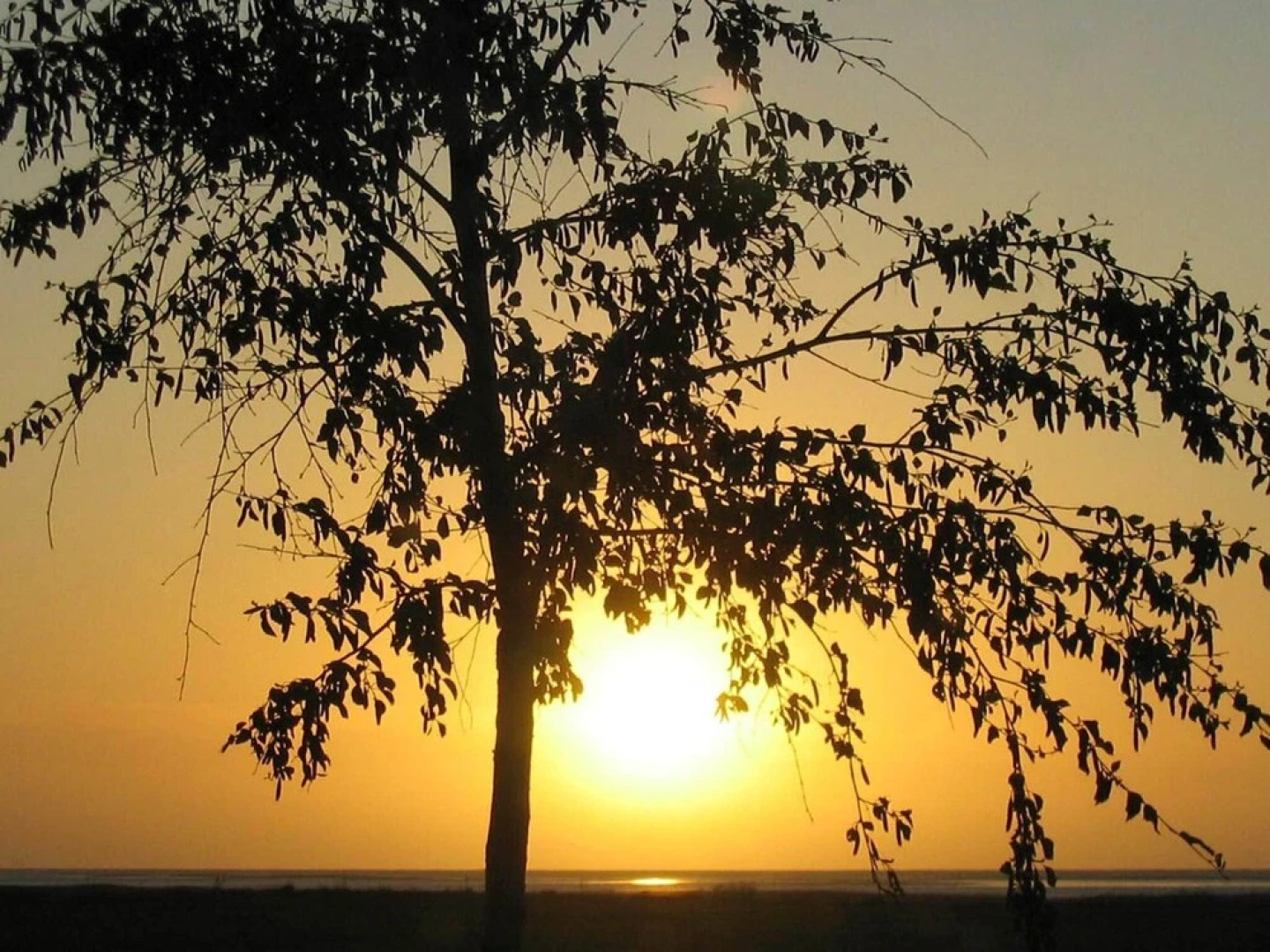 5 Person Holiday Home in Hals