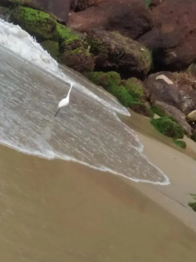 Raj Palace Home Stay