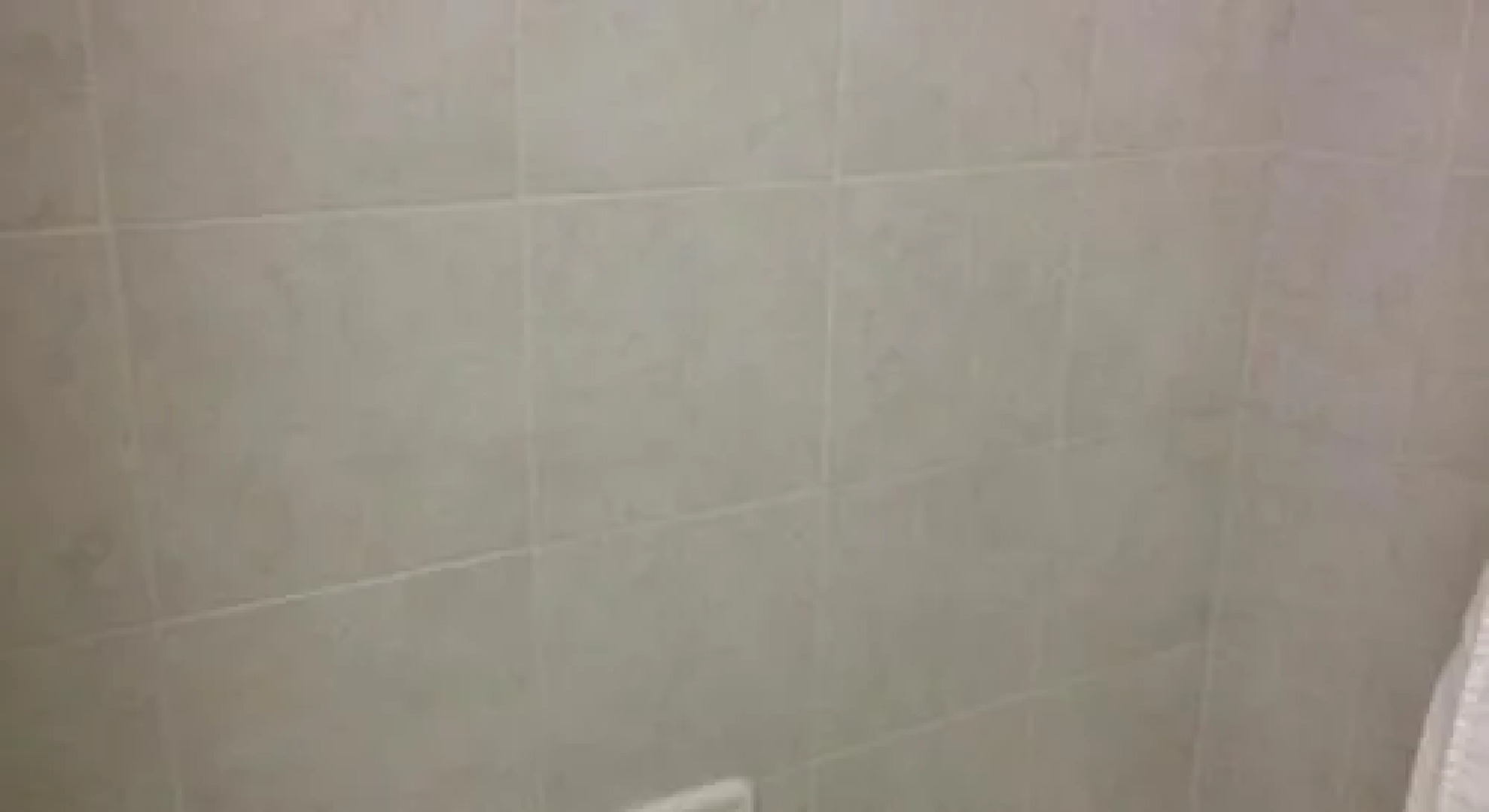 Red Carpet Inn & Suites Albany