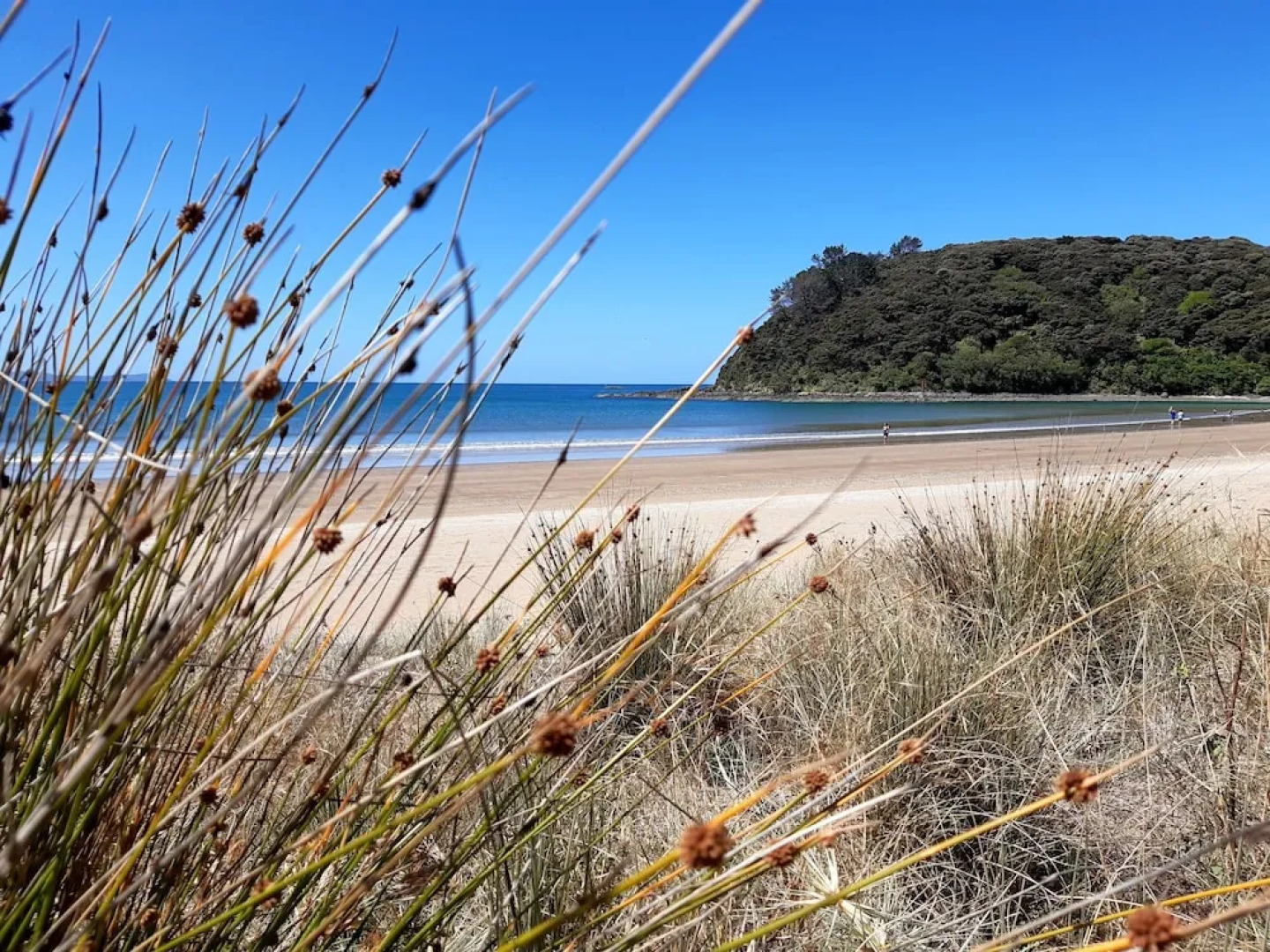Golden Sand Beachfront Apartments