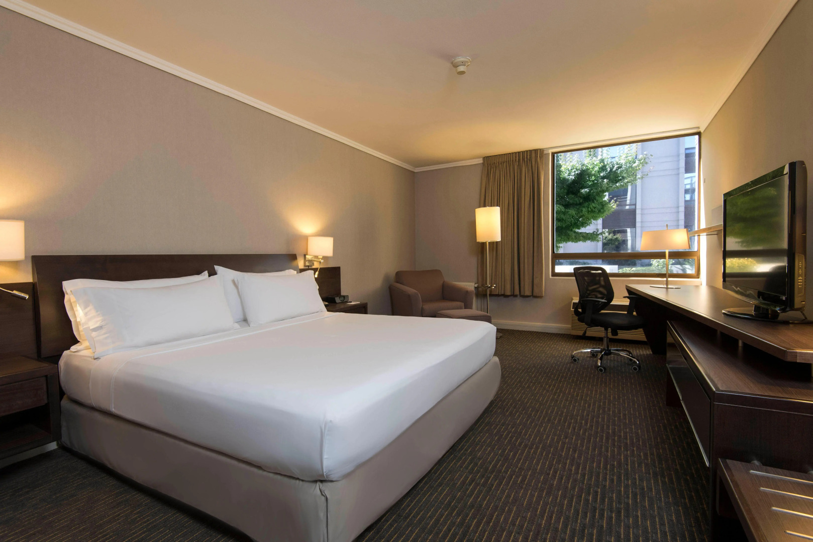 Holiday Inn Express Concepcion by IHG