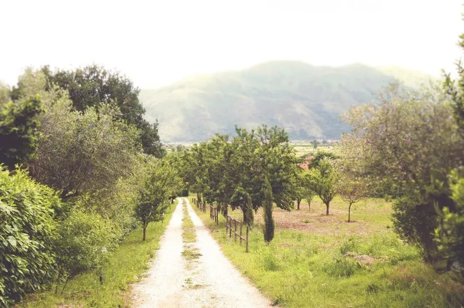 Agriturismo Macchiapiede