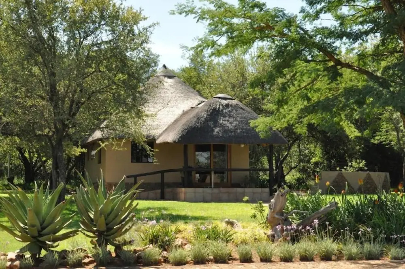 Ukutula Lion Lodge