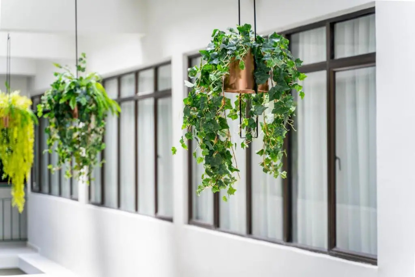 East Riverine Boutique Hotel