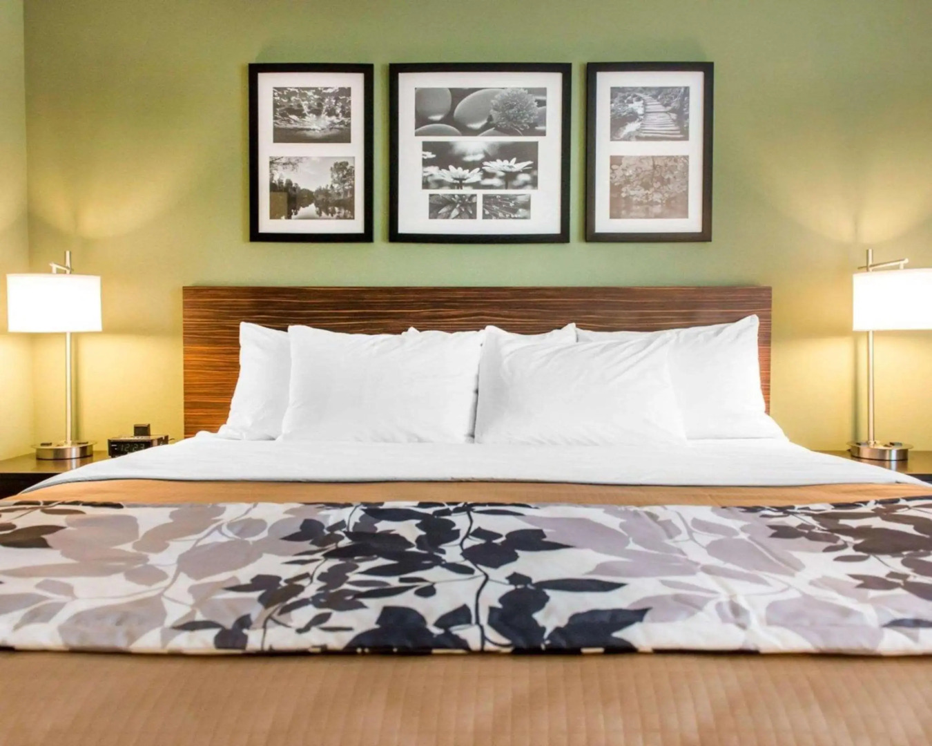 Sleep Inn & Suites Defuniak Springs - Crestview