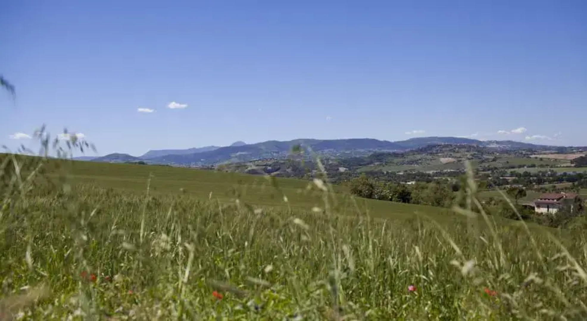 Agriturismo La Morla