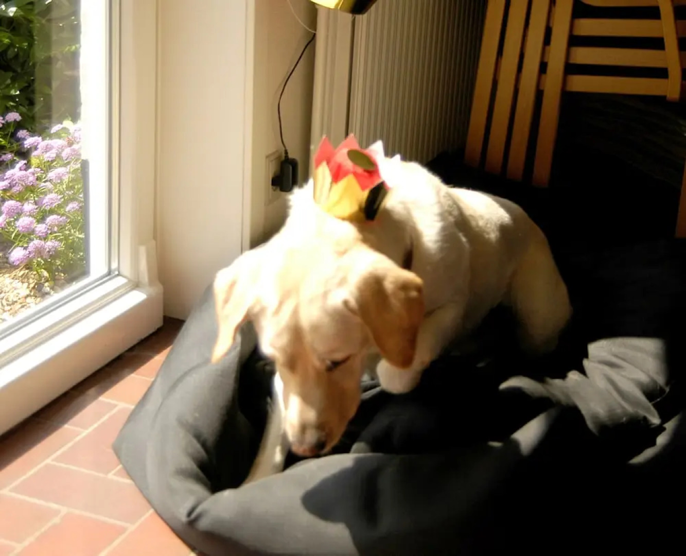 Nymindegab Overnatning