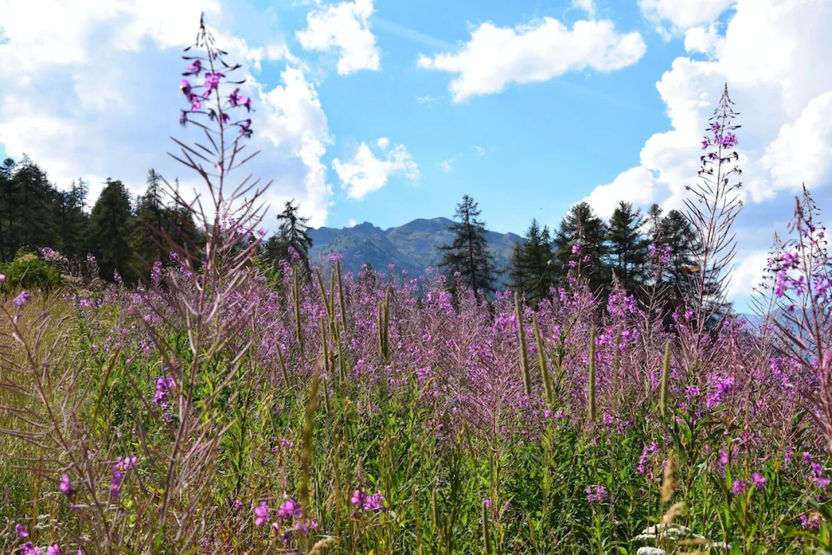 Auberge de Jeunesse HI Serre-Chevalier
