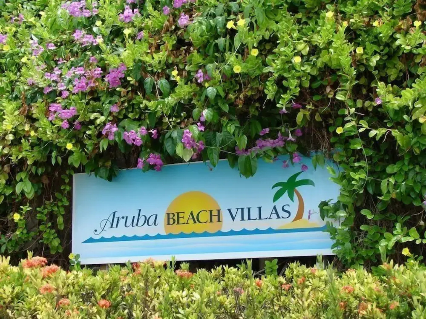 Aruba Beach Villas
