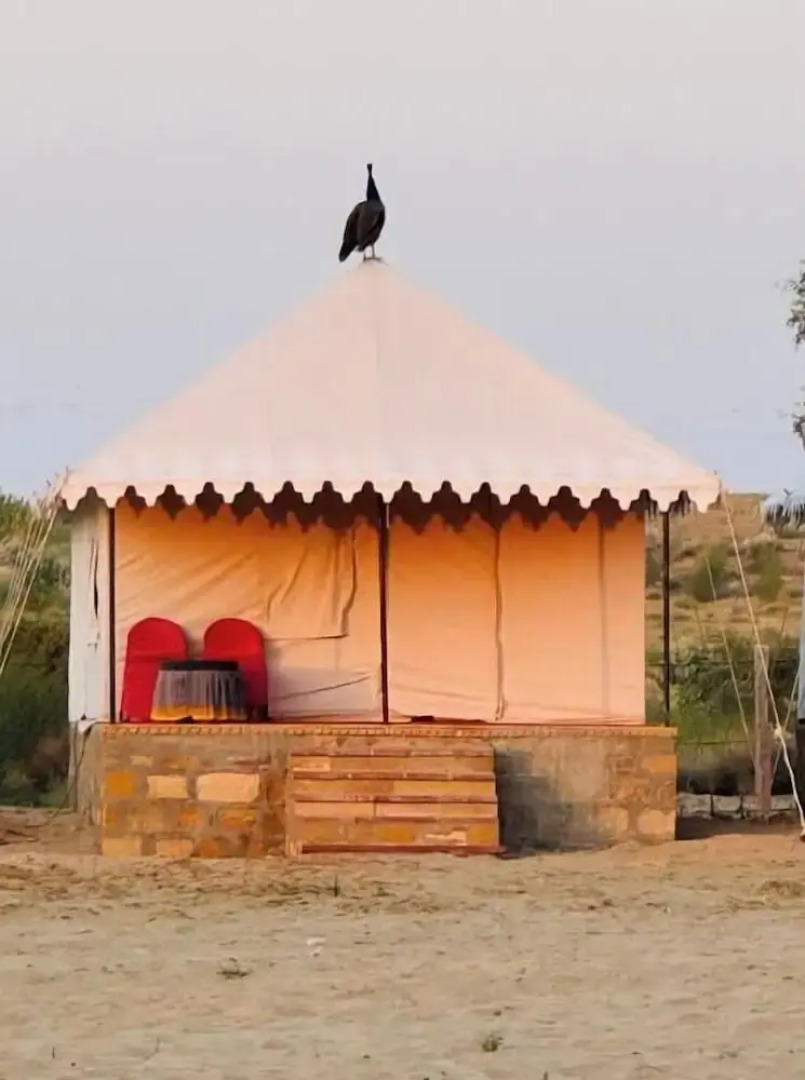 The Chirag Desert Camp Sam Sand Dunes