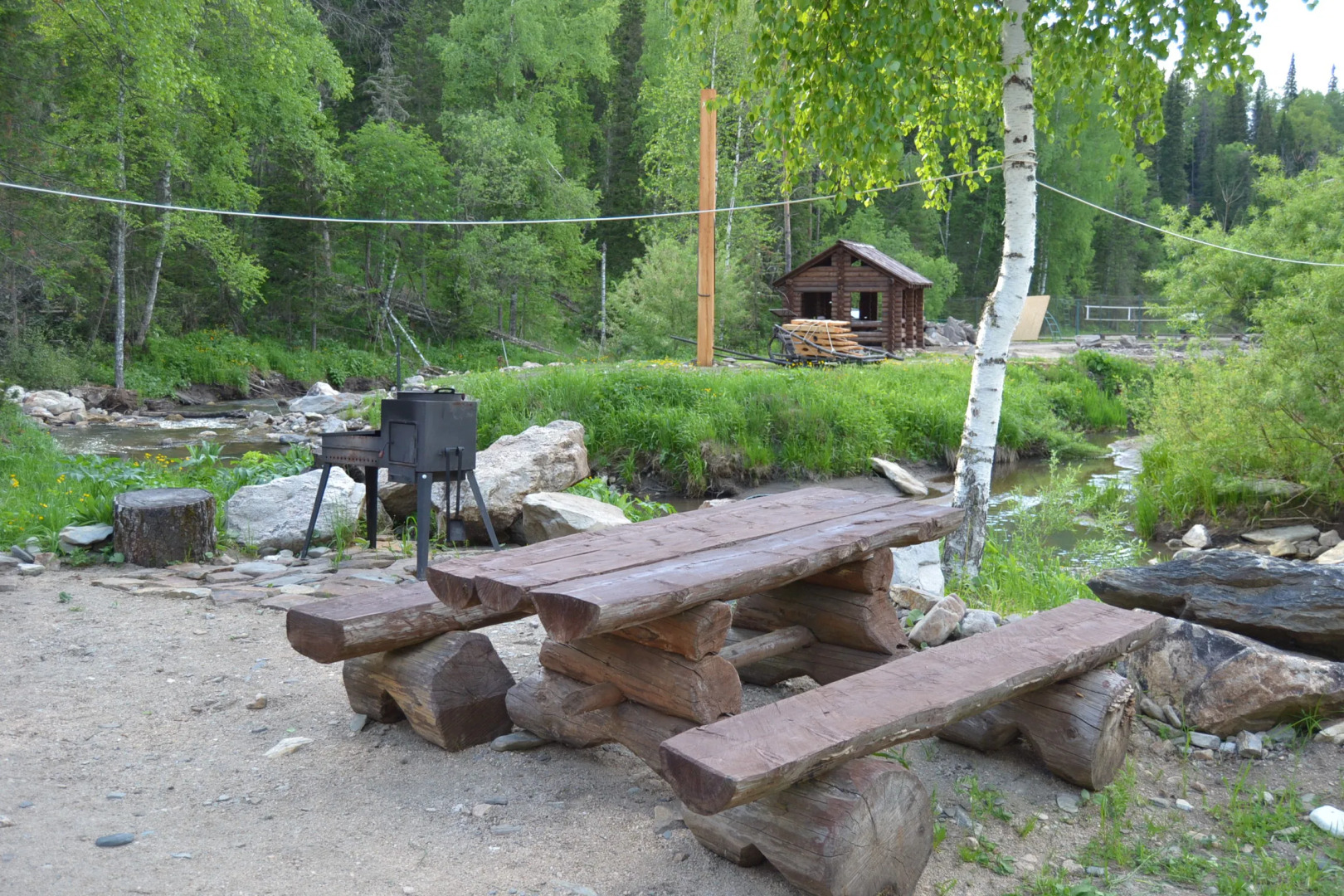 Лесная сказка